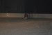 mutne 24.1.2010 015.jpg